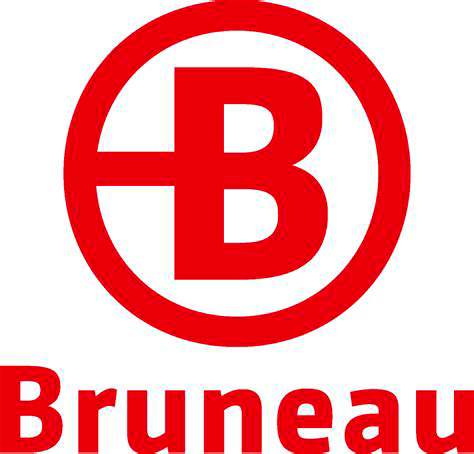 Bruneau